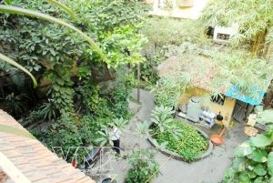 Maison jardin de Hanoi